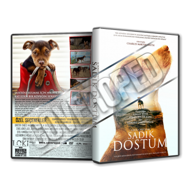 Sadık Dostum - A Dog's Way Home V2 2019 Türkçe Dvd cover Tasarımı